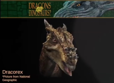Dracorex