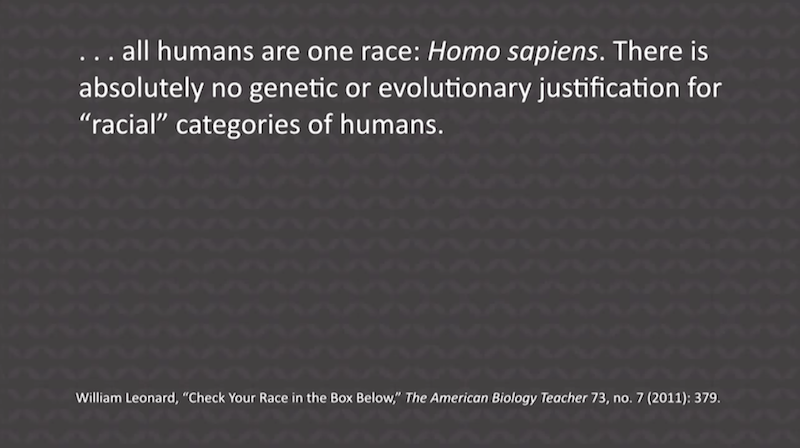 All Humans Homo Sapiens