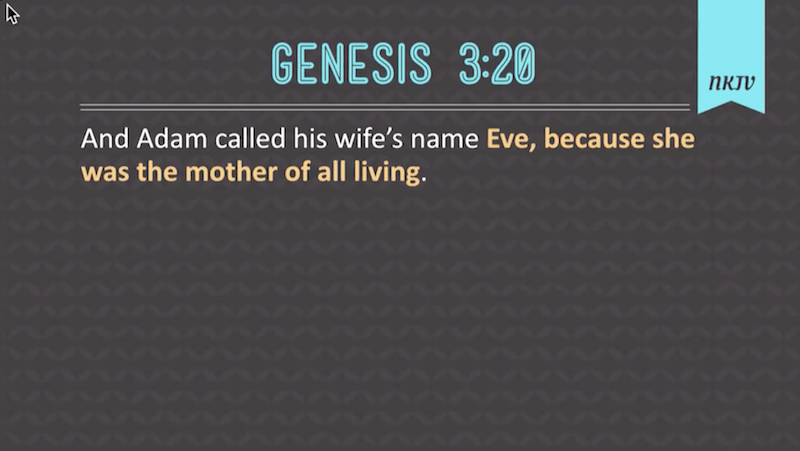 Genesis 3.20